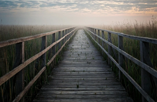 Best Decking Material wood decking
